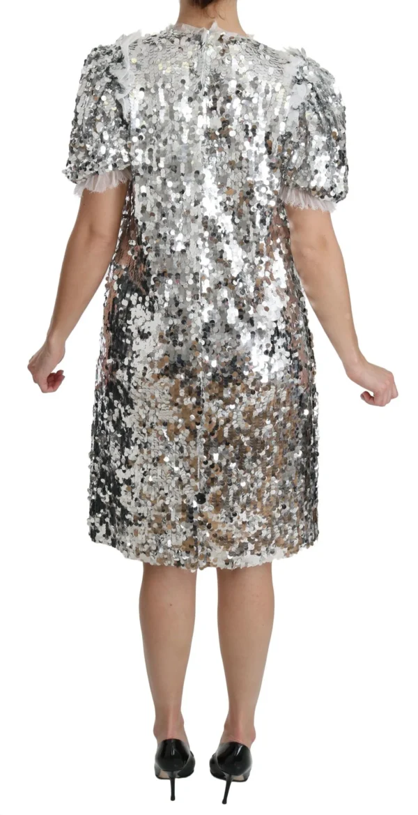 Dolce & Gabbana Women's Elegant Silver A-Line Dress with Crystal Accents