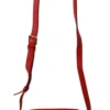 Dolce & Gabbana Women's Elegant Red Leather Crossbody Glam Bag