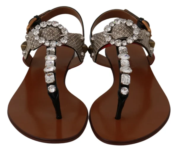 Dolce & Gabbana Women's Elegant Strappy Sandals with Exotic Charm