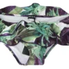 Dolce & Gabbana Women's Eggplant Print Green Bikini Bottom