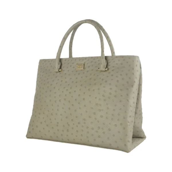 Cavalli Class Women's Elegant Grey Vitello Leather Handbag